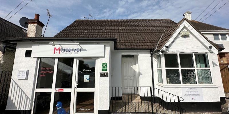 Medivet Rayleigh – Downes Veterinary Surgeons
