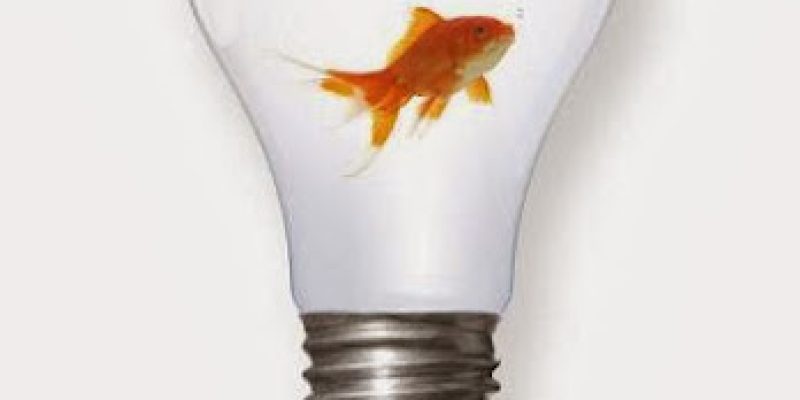 Footsteps Design Ltd