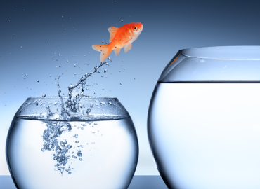 Nexus HR Consultancy Ltd
