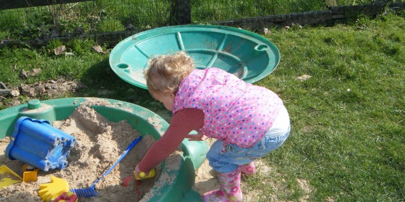 Saplings Nursery