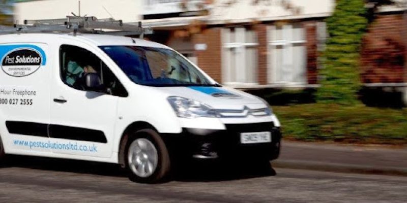 Pest Solutions