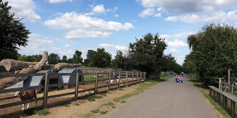 Barleylands Farm Park