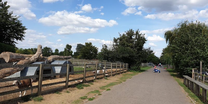 Barleylands Farm Park