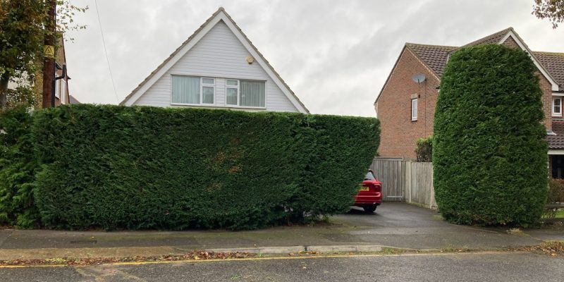 Rayleigh Tree & Landscape Services