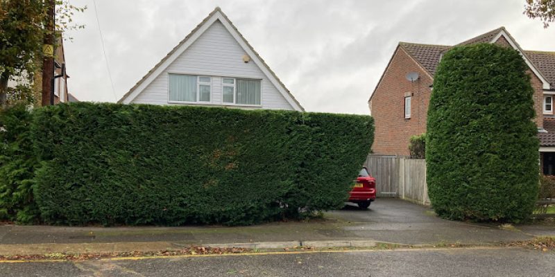 Rayleigh Tree & Landscape Services