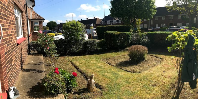 Amazing Gardeners