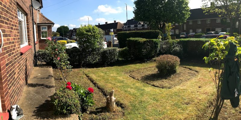 Amazing Gardeners