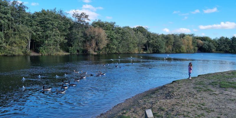 Belhus Woods Country Park Visitor Centre