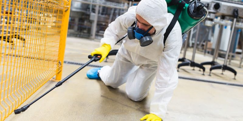 Environ Pest Control London