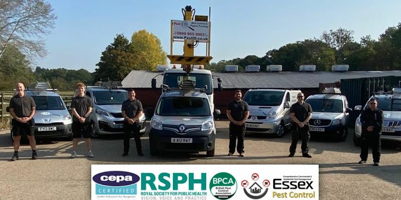 Essex Pest Control