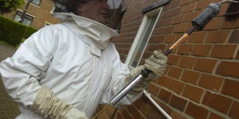 Albany Environmental Services Ltd