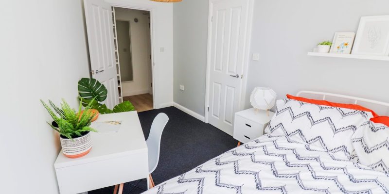 The Spyglass Collection