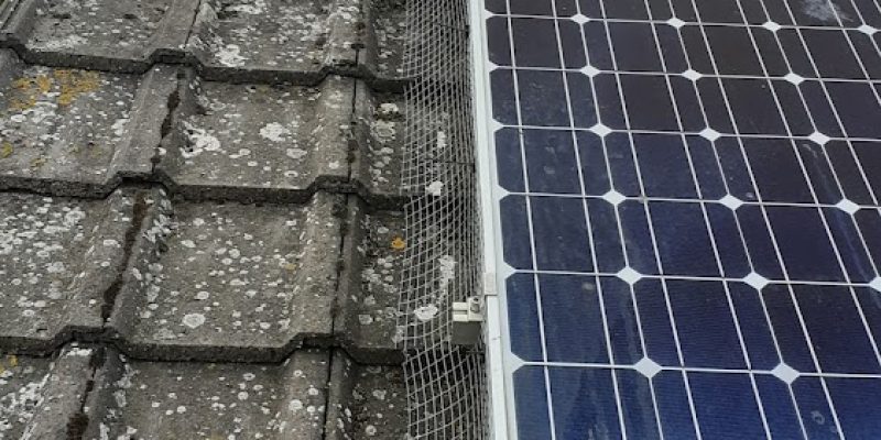 Essex & Suffolk Pest Solutions