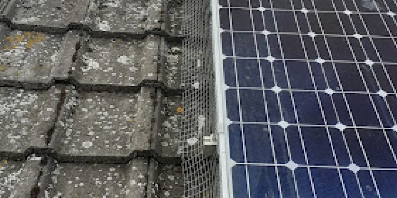 Essex & Suffolk Pest Solutions