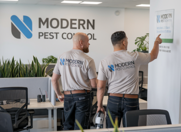 Modern Pest Control West Hampstead