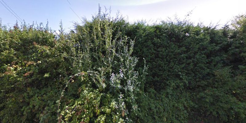 EJ Landscaping