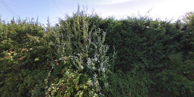 EJ Landscaping