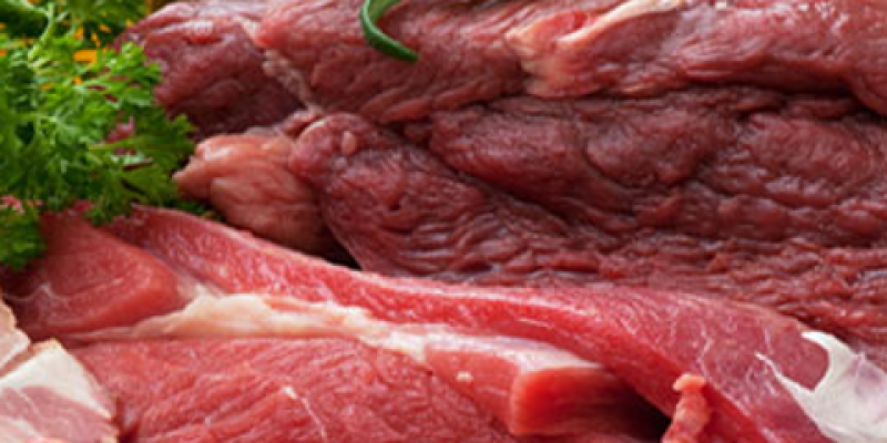 CSP Food Services Ltd