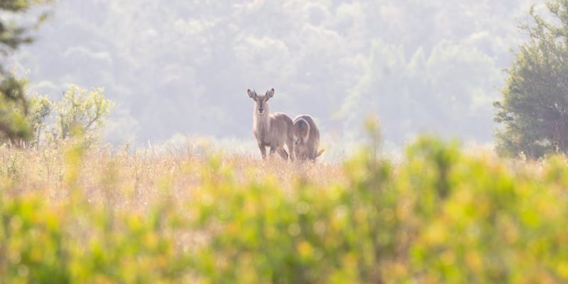 Anthony Hunt Photography