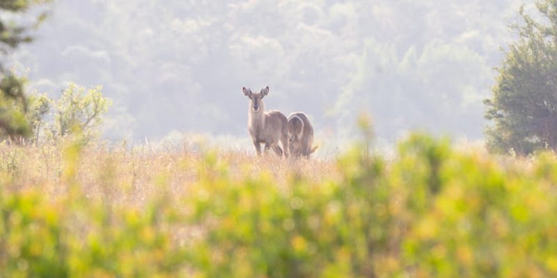 Anthony Hunt Photography