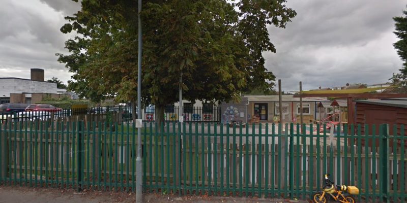 Spring Harlequin Nursery