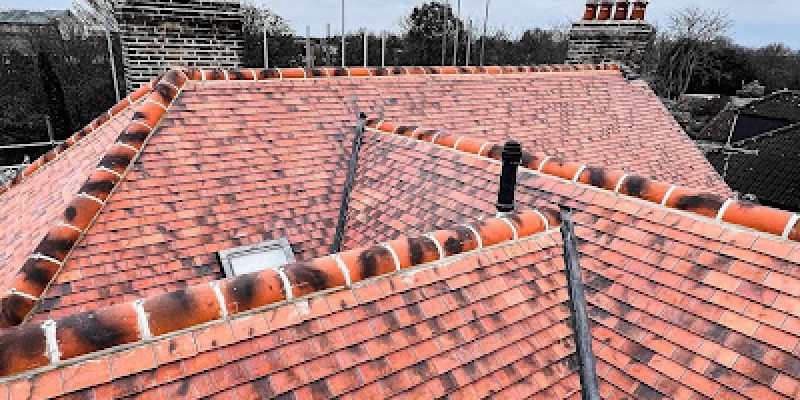 Environ Property Services Ltd