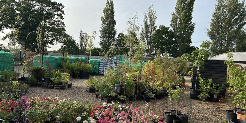 Bentley Landscapes Ltd